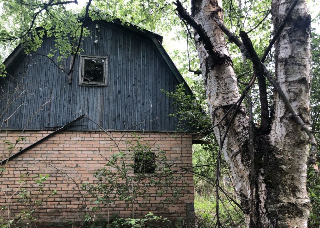 Погода в снт радио балашиха. Дача Электрогорск Березки. Дача Электрогорск Березки кирпичный дом. СНТ белый мох 2 Электрогорск авито.