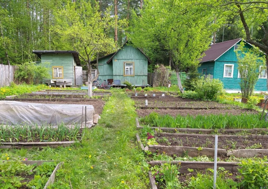 Очередь на садовые участки. Дача Электросталь. СНТ дружный. СНТ случайное Электросталь. Электросталь поселок случайный.