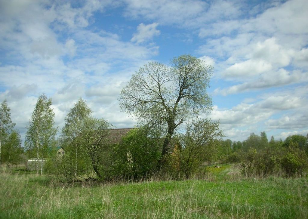Снт ивушка 2. Уваровка (Московская область).