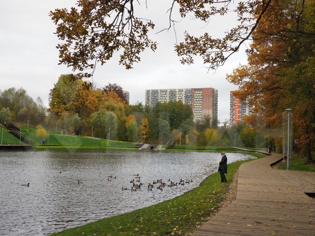 Водоемы вблизи москвы