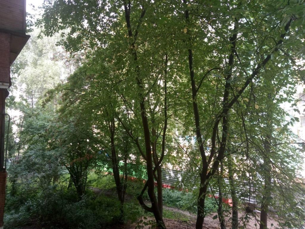 Улица Изумрудная Фото