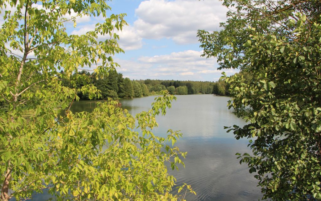 Снт березка курганье. Деревня Курганье. Деревня Березки. Березка Курганье