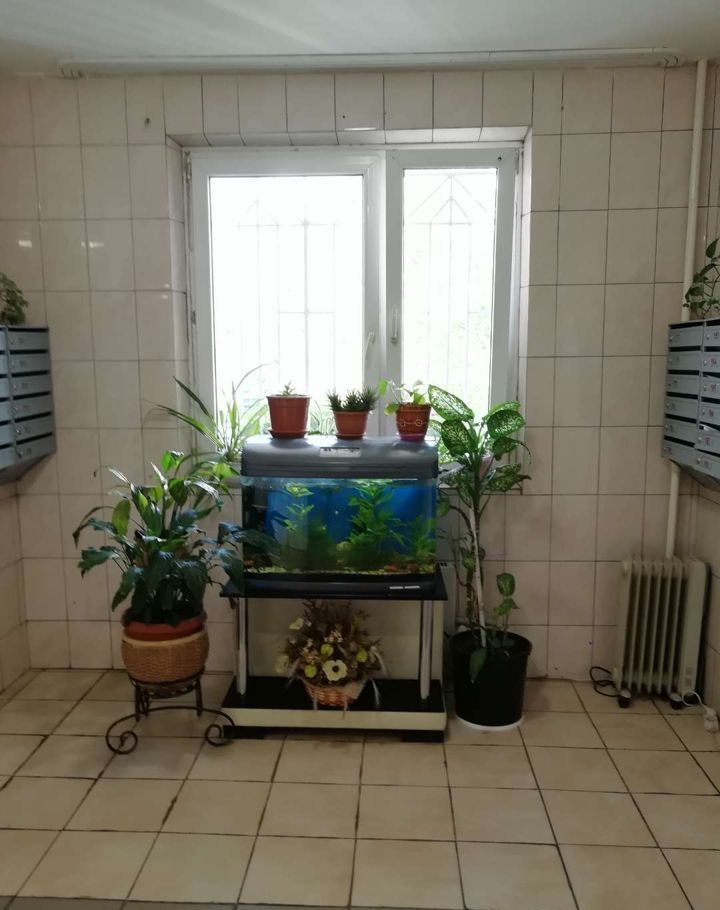 Аренда однокомнатной квартиры Москва, метро Текстильщики, Саратовская улица 22, цена 40000 рублей, 2025 год объявление №1166897 на megabaz.ru Аренда однокомнатной квартиры Москва, метро Текстильщики, Саратовская улица 22, цена 40000 рублей, 2025 год объявление №1166897 на megabaz.ru