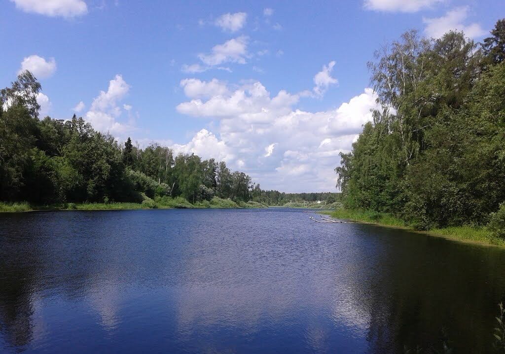 Погода лесное озеро солнечногорский