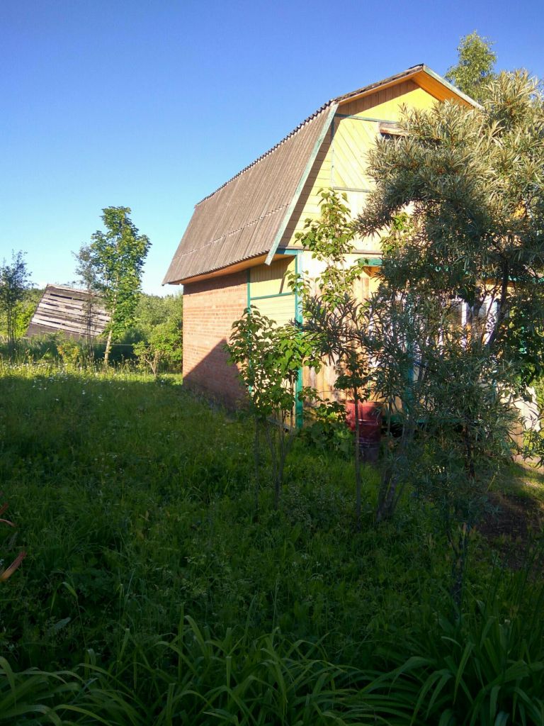 Купить Дачу В Шаховской Недорого От Собственника