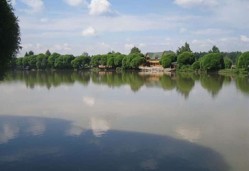Зеленый берег лобня фото