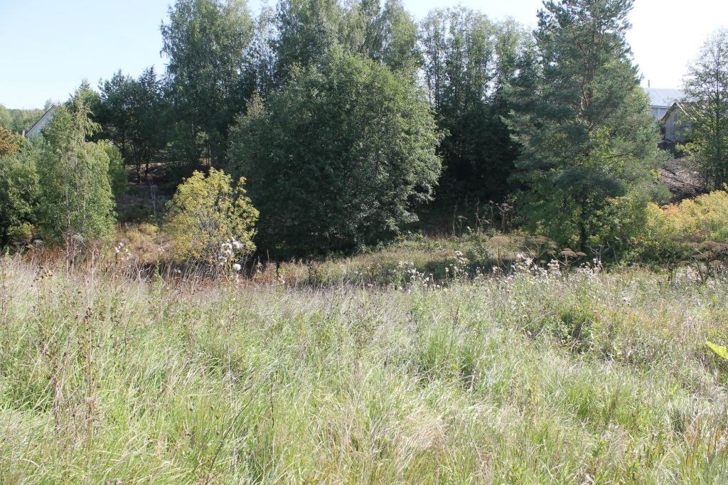 Погода в троицком шарьинского. Парк Лугинина село Рождественское. Лугинины в Шарьинском районе.