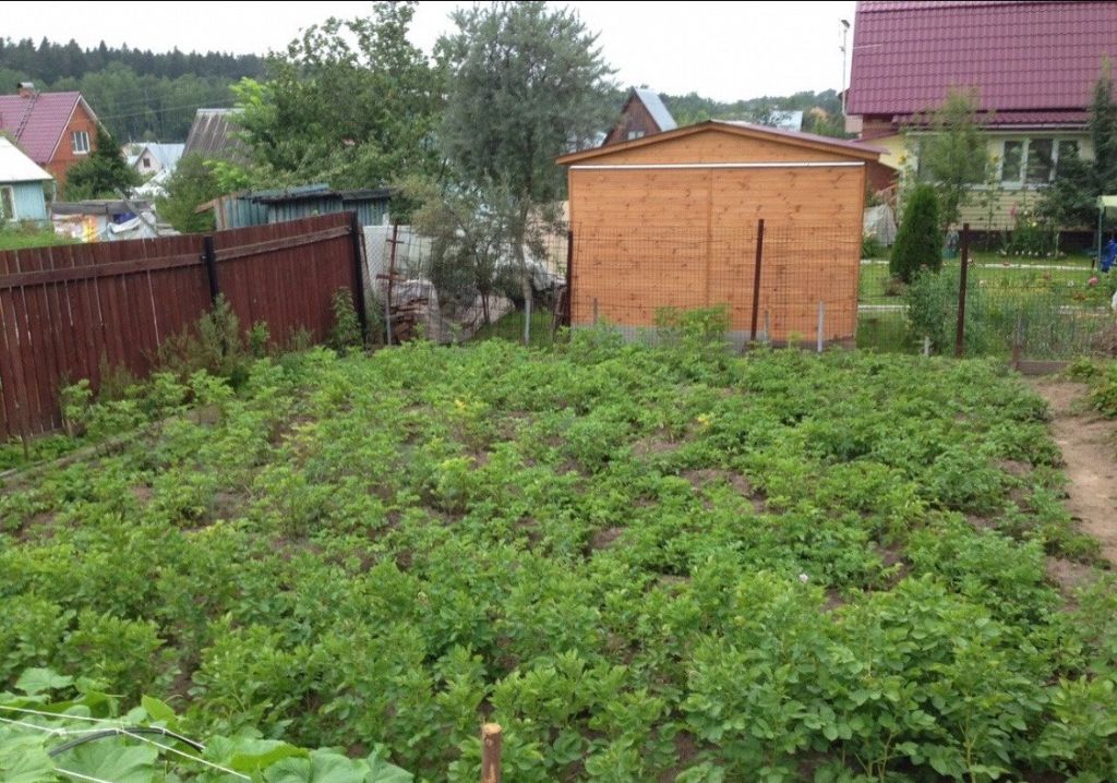 Купить Дачу В Снт Керамик Во Владимире