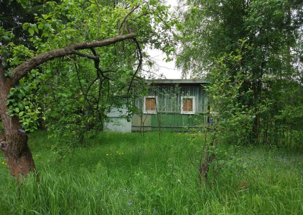 Продажа дома поселок городского типа Большие Дворы, цена 380000 рублей, 2024 год объявление №408171 на megabaz.ru