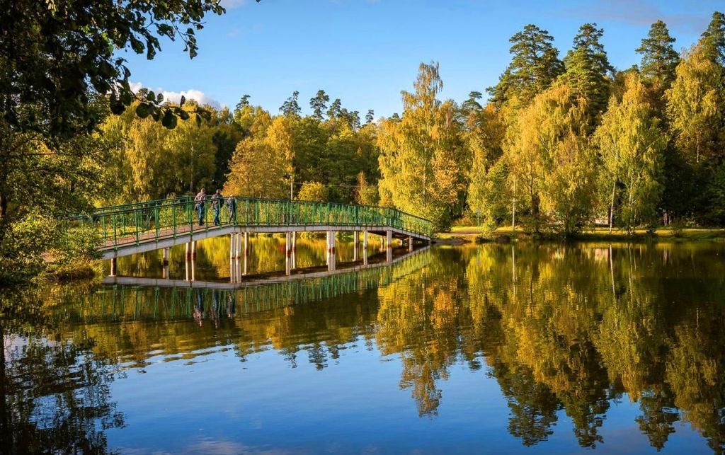 Лосиный остров балашиха фото