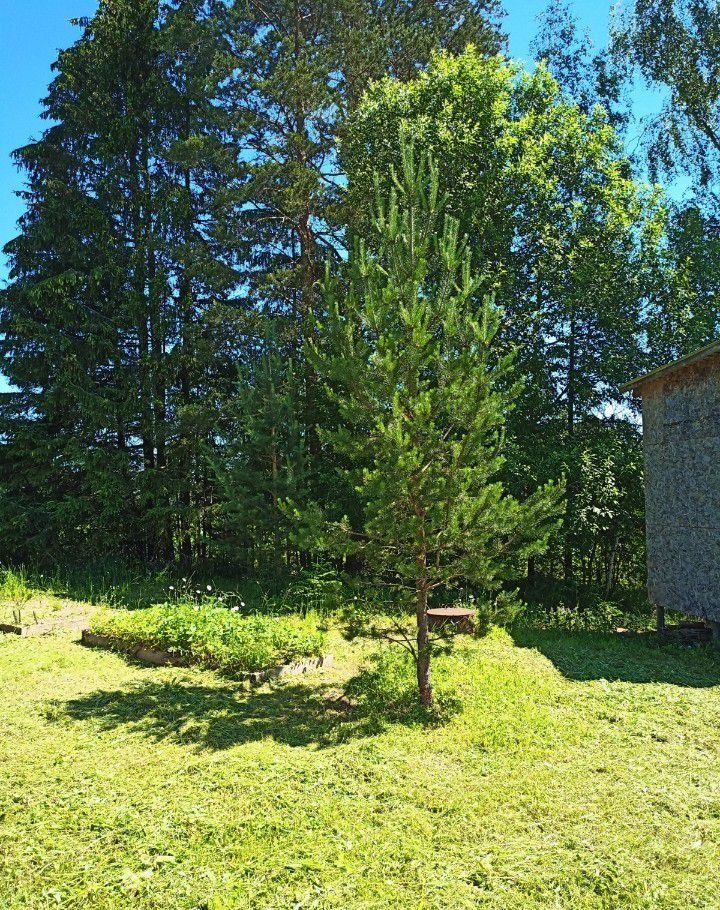 Продажа дома село Тропарёво, цена 1900000 рублей, 2022 год объявление №371397 на megabaz.ru