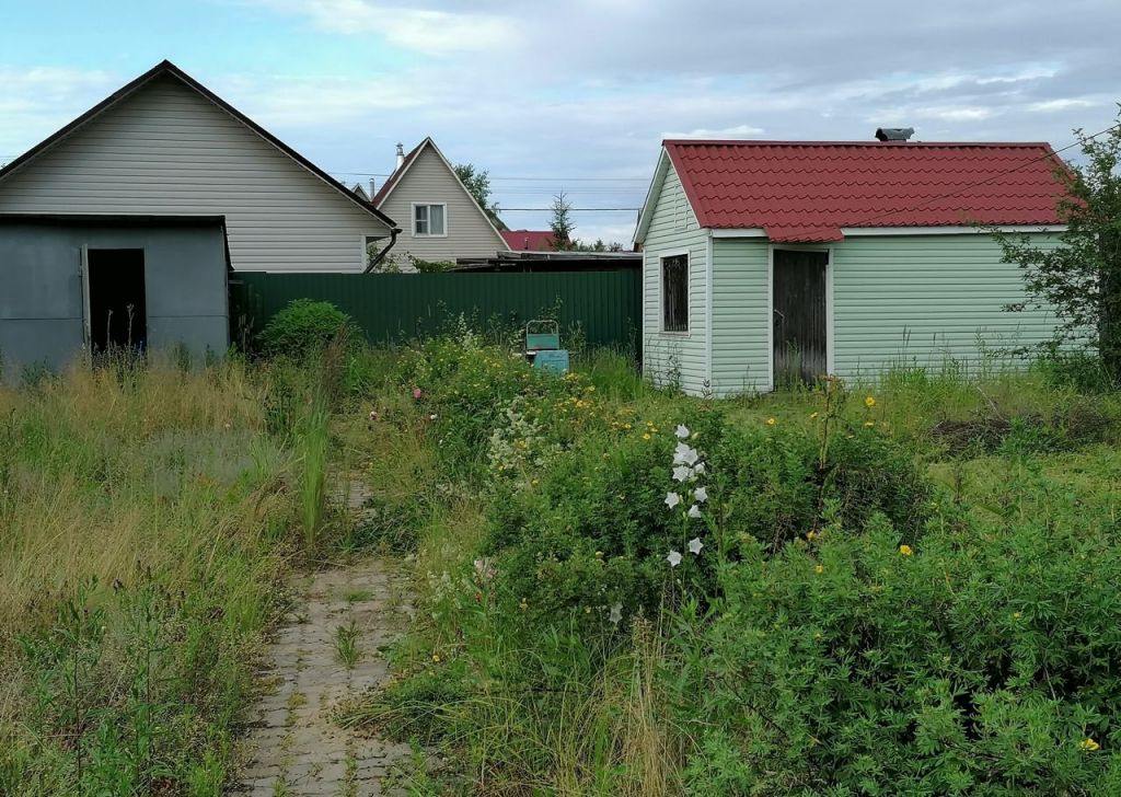 Погода в матчино домодедовский. СНТ Матчино фото. Раннее утро в СНТ Матчино..