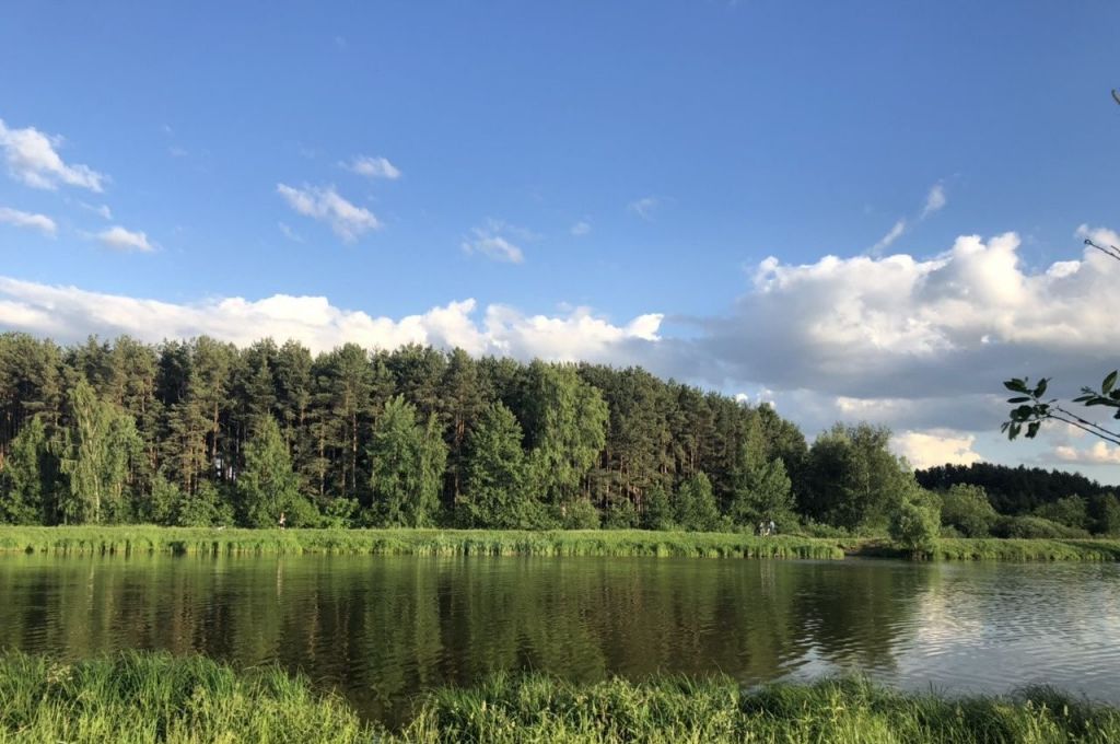 Погода в вялках раменском районе