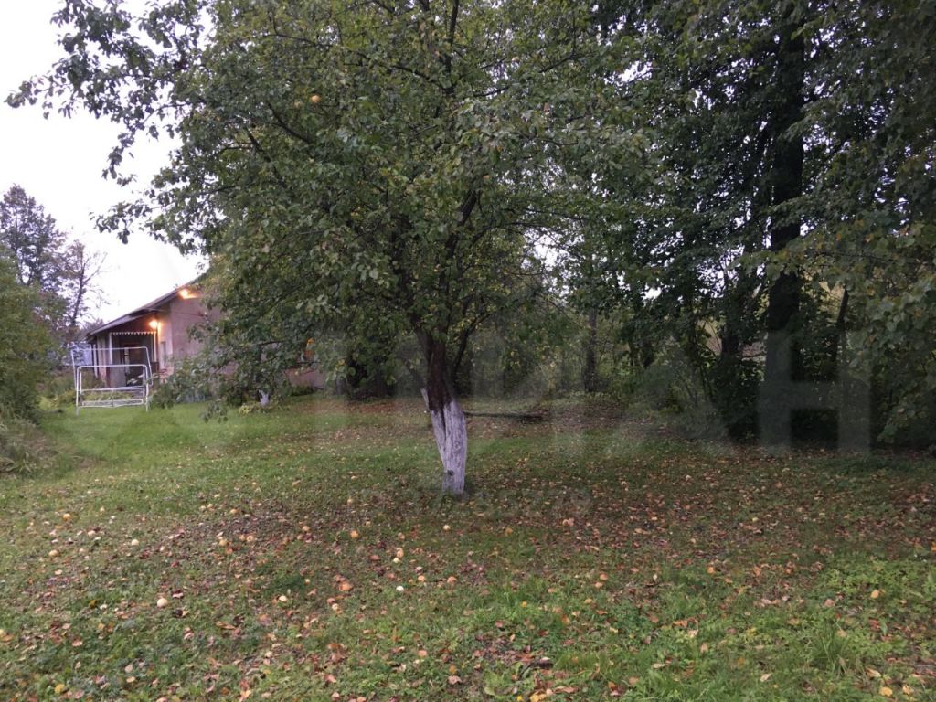 Клинские туркмены. Поселок Туркмен в Мос обл.