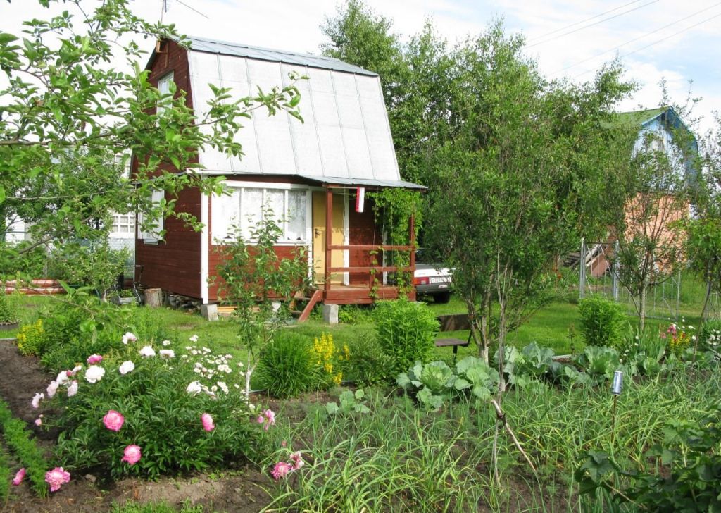 снт шильцы сергиево-посадский район. аренда дачи на лето. дачный домик рижское направление. дача в подмосковье. снт ручеек наро-фоминский район.