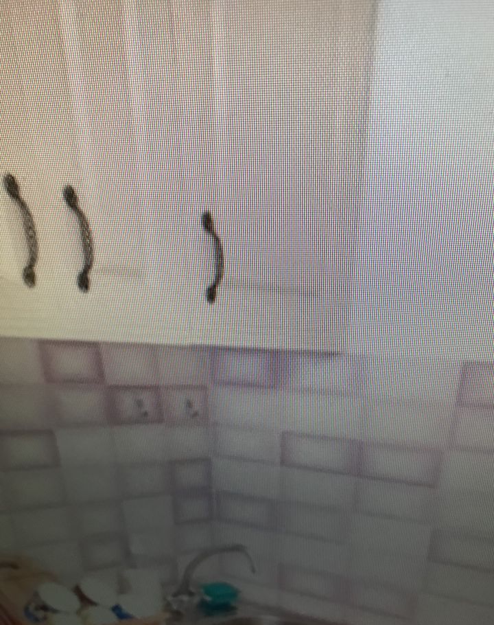 Аренда однокомнатной квартиры Москва, метро Марьина роща, улица Образцова 24, цена 29000 рублей, 2025 год объявление №1249506 на megabaz.ru Аренда однокомнатной квартиры Москва, метро Марьина роща, улица Образцова 24, цена 29000 рублей, 2025 год объявление №1249506 на megabaz.ru