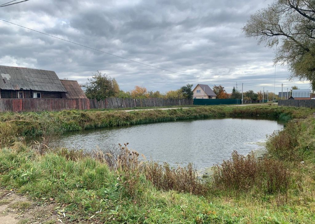 Петрушино московская область. Петрушино московская область орехово-зуево. Деревня петрушино уржум. Село петрушино. Погода петрушино орехово зуевский.
