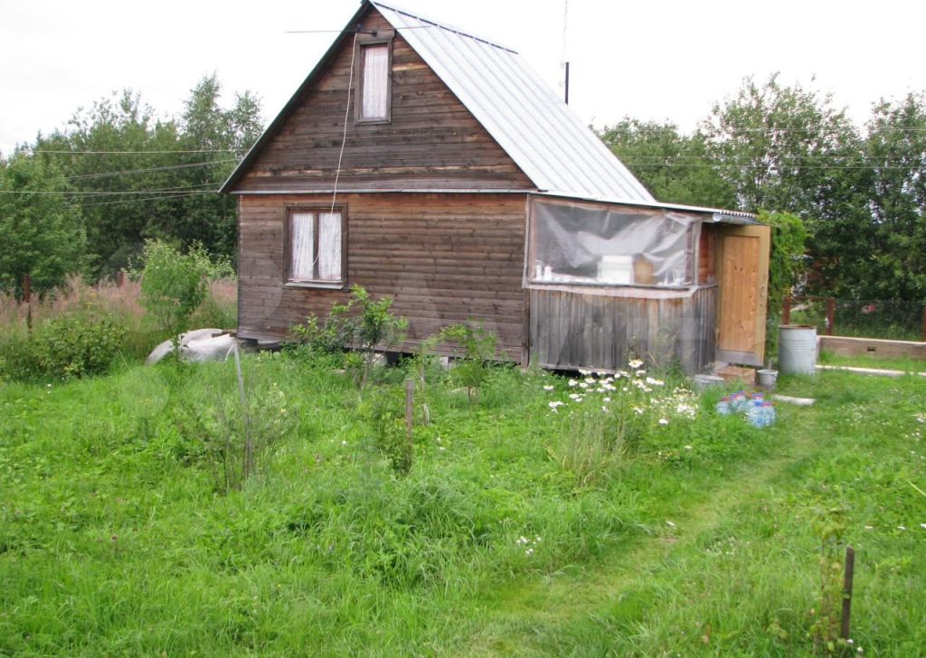 СНТ Дворики. Дача Городищи Владимирская область СНТ лето. Село Шпановка Дачная 31.