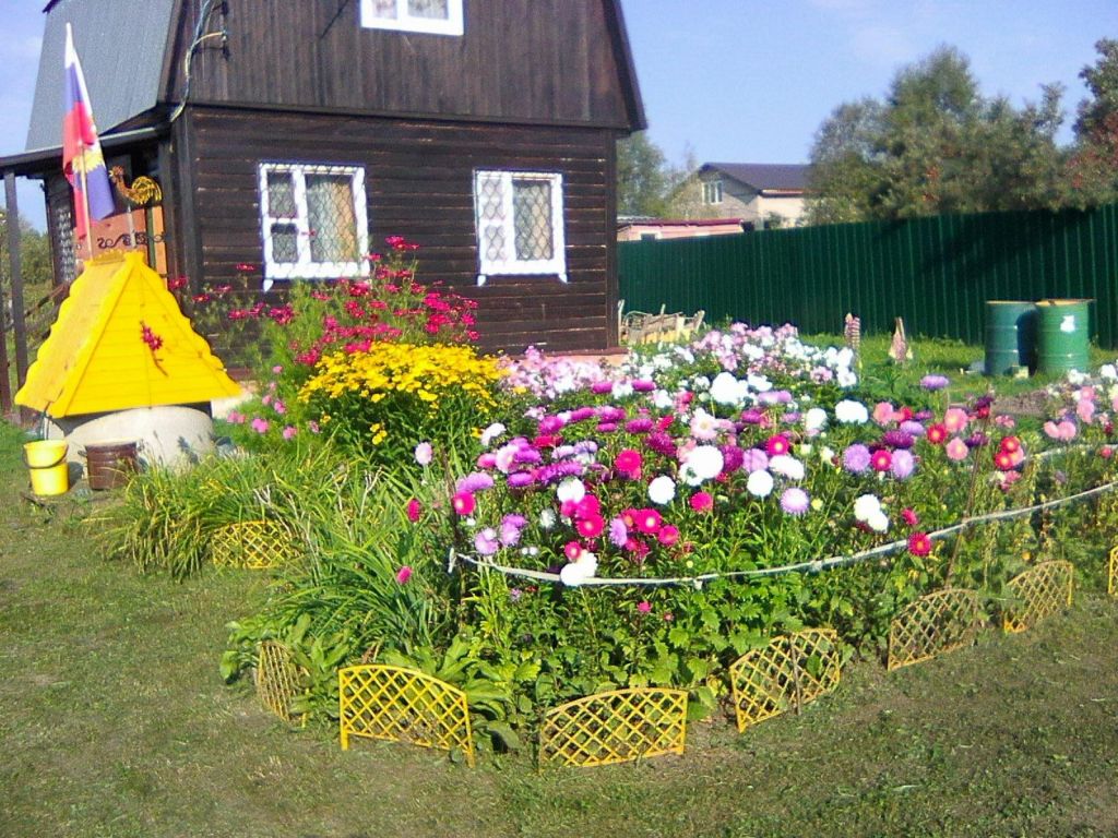 Новопетровское дача. Снт квант деньково московская область. Новопетровское дача. Нудоль (московская область). Новопетровское дача.