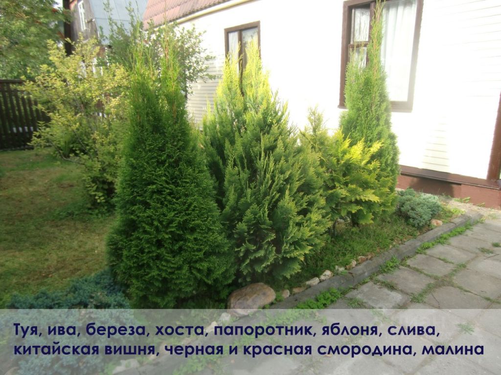 Продажа дома СНТ Лесная поляна, 1-я улица, цена 2700000 рублей, 2024 год объявление №611308 на megabaz.ru