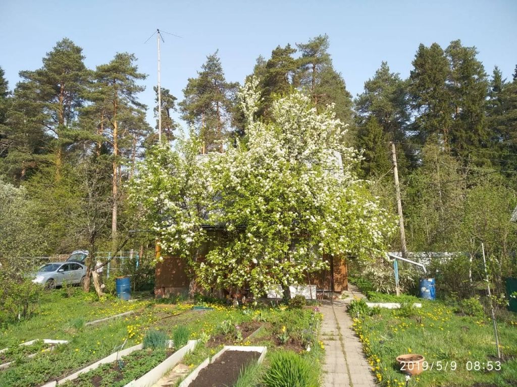 Продажа дома садовое товарищество Мичуринец, цена 1700000 рублей, 2023 год объявление №629671 на megabaz.ru