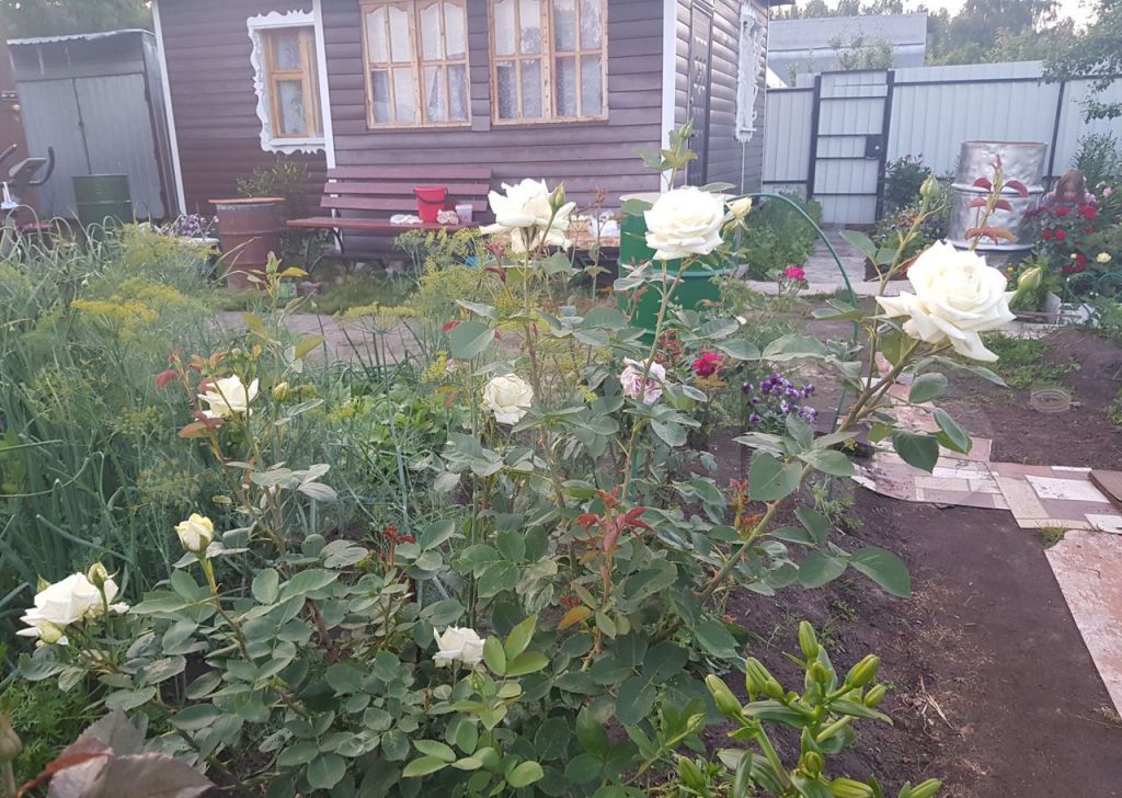 Продажа дома садовое товарищество Дружба, цена 720000 рублей, 2022 год объявление №686414 на megabaz.ru