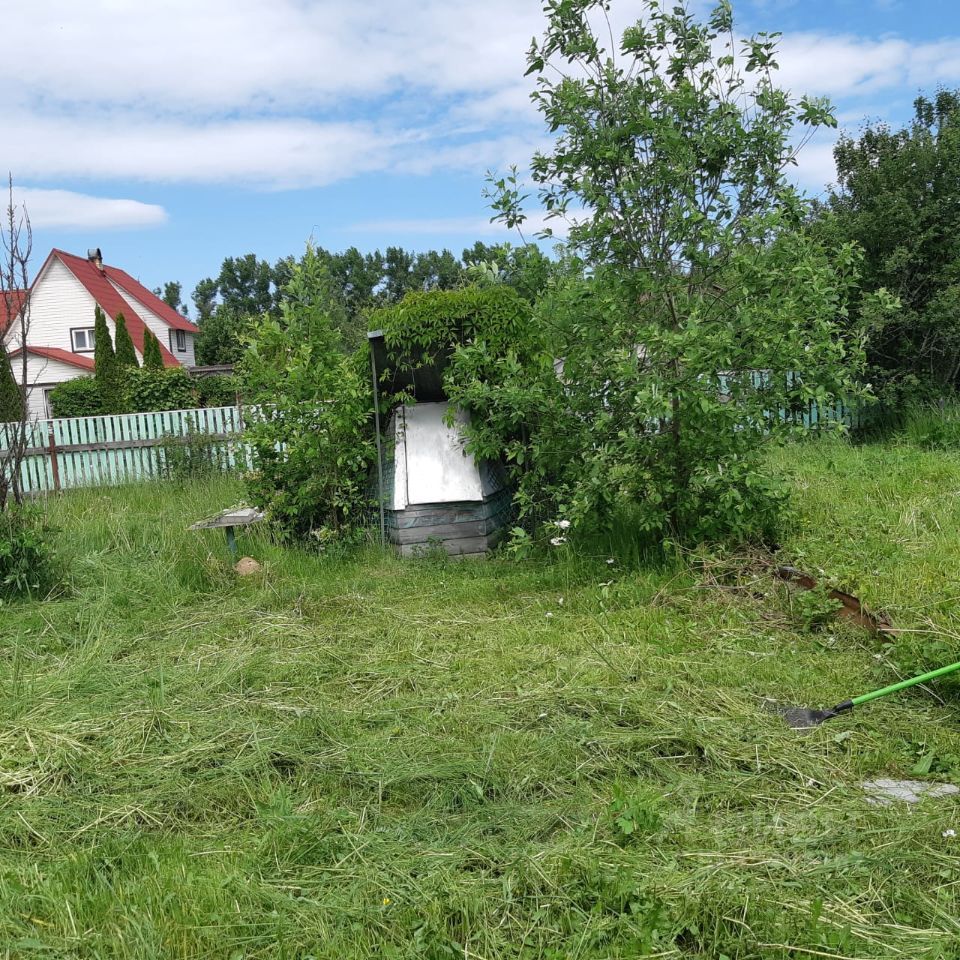 снт починок. снт починок. снт починки пермь. снт починки. снт сады им володарского.