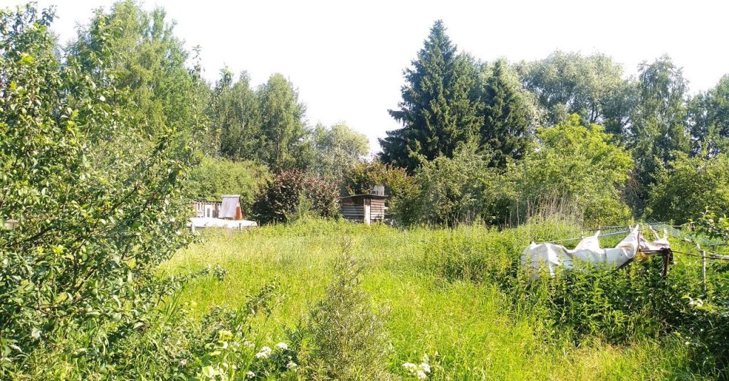 Продажа дома село Строкино, цена 3900000 рублей, 2022 год объявление №647048 на megabaz.ru