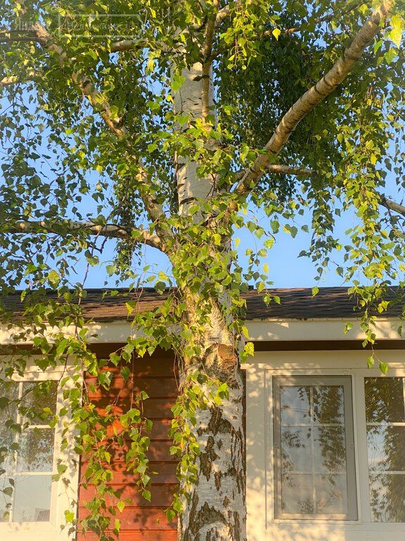Продажа дома садовое товарищество Виктория, цена 1500000 рублей, 2022 год объявление №644530 на megabaz.ru