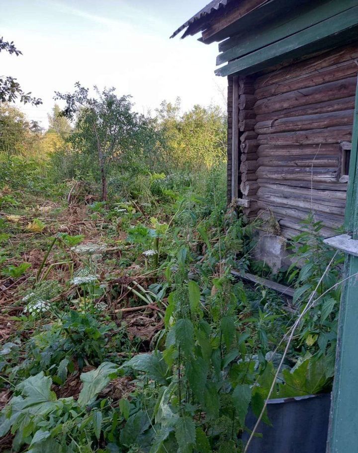 Продажа дома деревня Покров, цена 400000 рублей, 2022 год объявление №653723 на megabaz.ru