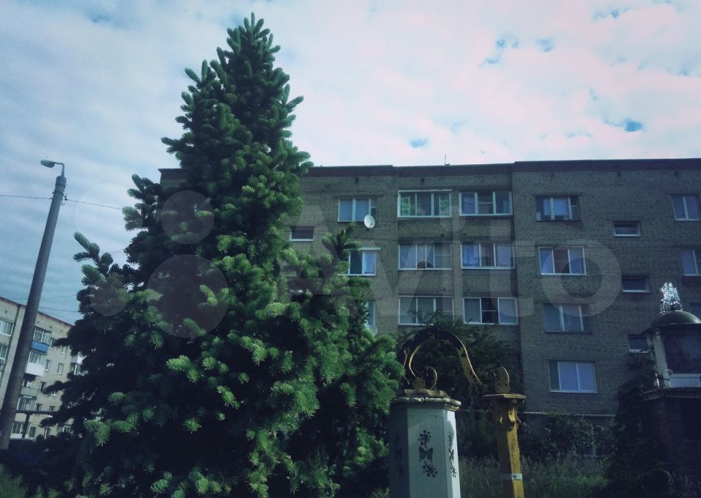 Продажа двухкомнатной квартиры поселок Реммаш, Юбилейная улица 11, цена 2400000 рублей, 2022 год объявление №656637 на megabaz.ru