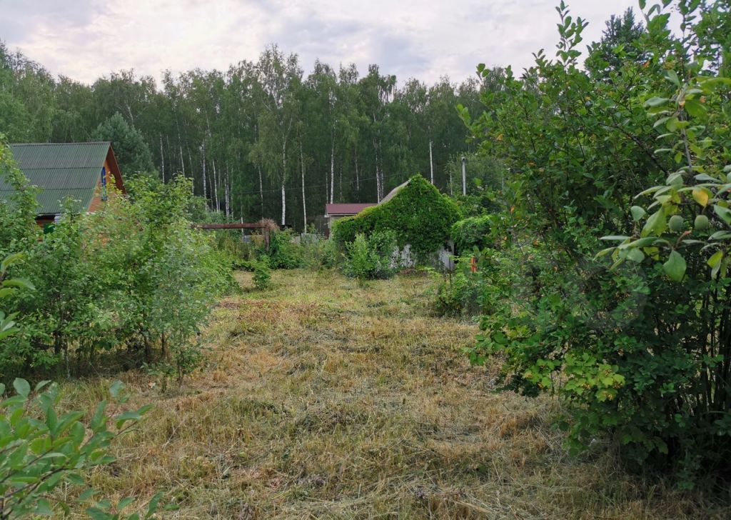 СНТ фиалки Есино. СНТ фиалка Электросталь. СНТ 12 Новочеркасск. СНТ фиалка Есино Электросталь.