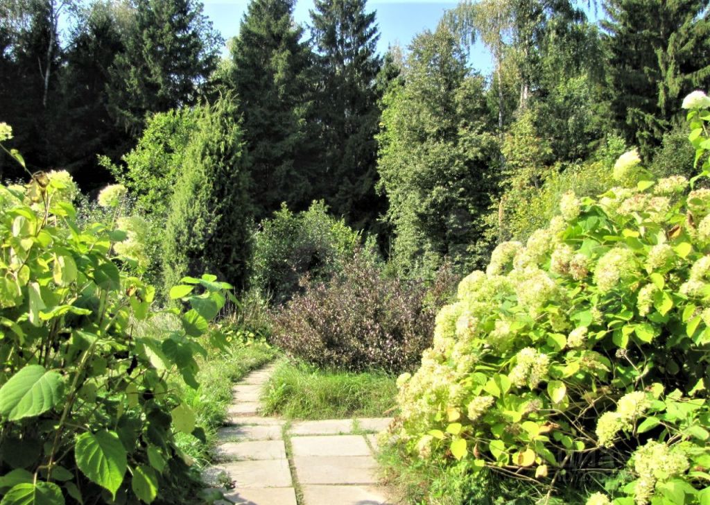 Продажа дома садовое товарищество Лесное, цена 11450000 рублей, 2022 год объявление №639641 на megabaz.ru
