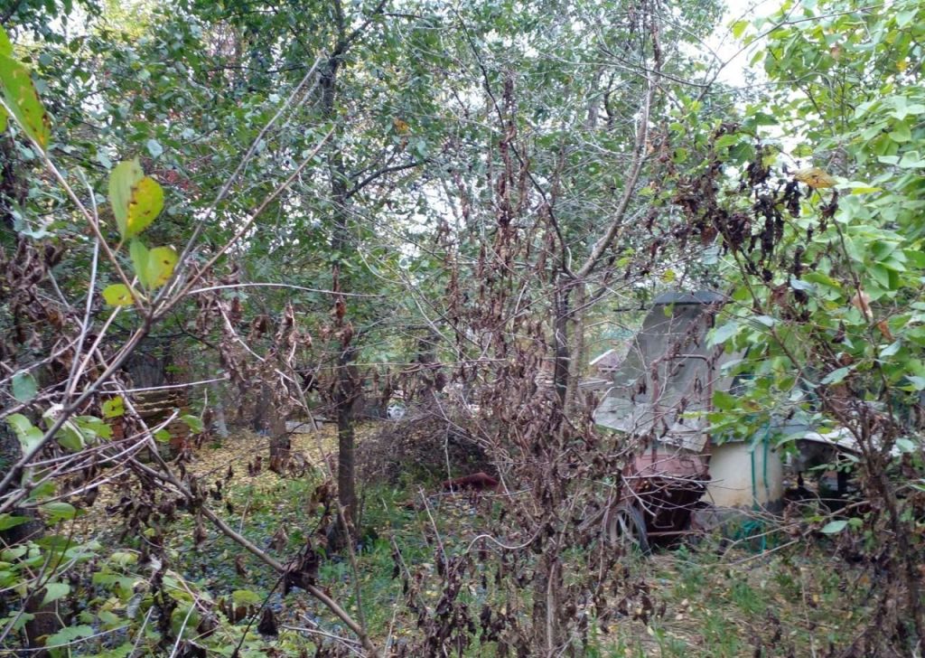 Продажа дома деревня Троице-Сельцо, цена 4000000 рублей, 2023 год объявление №698142 на megabaz.ru