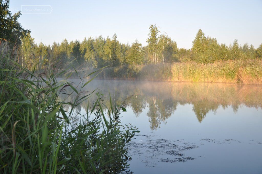 Фото снт сосновый бор