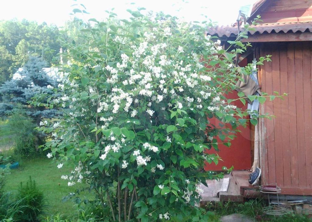 Продажа дома садовое товарищество Луч, цена 450000 рублей, 2024 год объявление №784499 на megabaz.ru